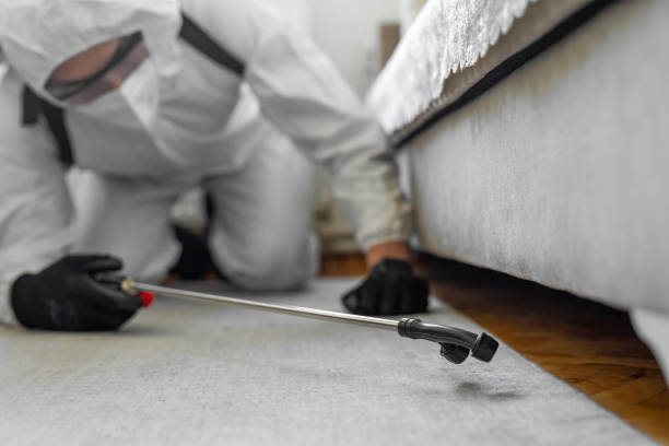 Professional Bed Bug Control technician working in On Top of the World Designated Place, FL