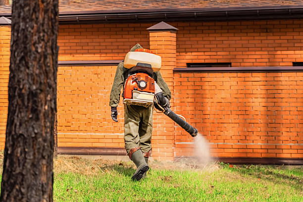 Trusted Cockroach Control service in On Top of the World Designated Place, FL - Nex Pest Control